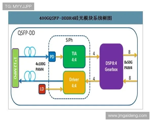 法甲球队商业化运营分析与未来收入增长趋势